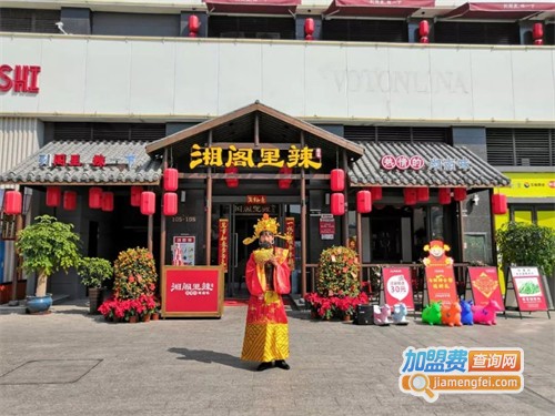 湘阁里辣加盟