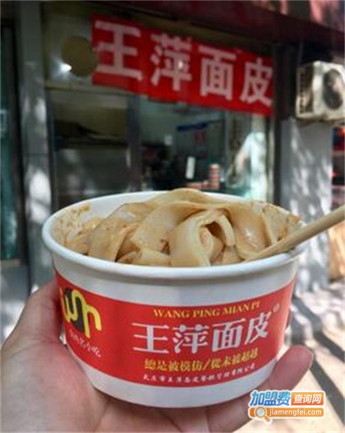王萍面皮加盟费