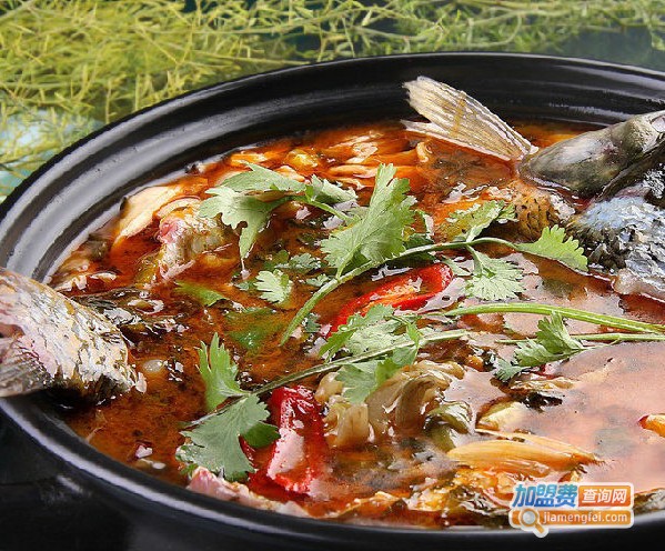 巴国渔夫加盟费