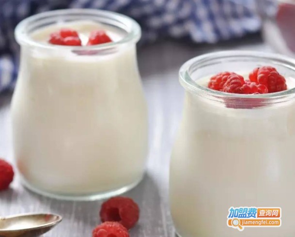 喜爱多酸奶工坊加盟费