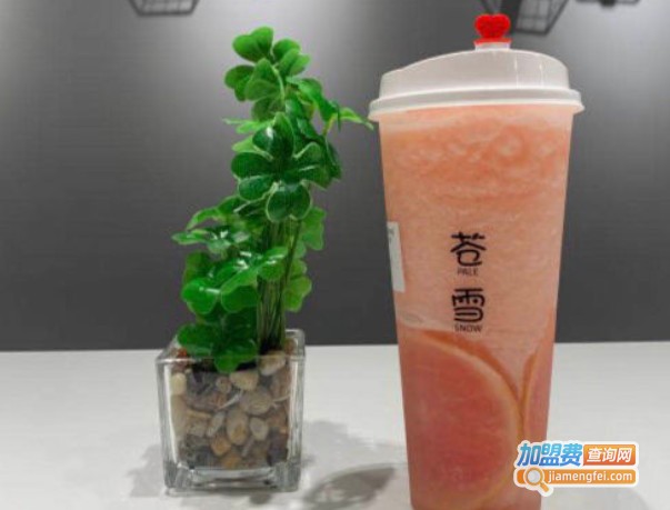 苍雪PaleSnow加盟费