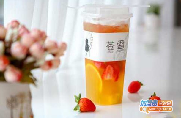 苍雪PaleSnow加盟费