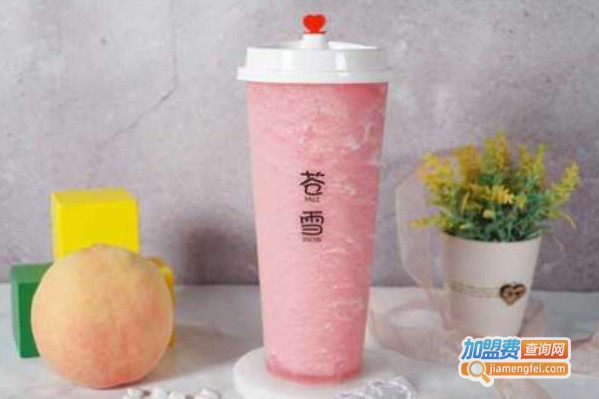 苍雪PaleSnow加盟费