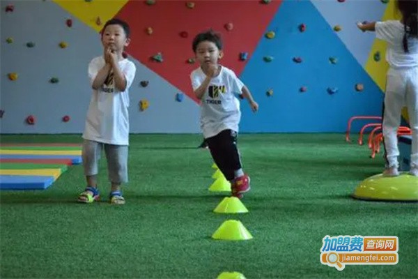 泰格儿童运动馆加盟