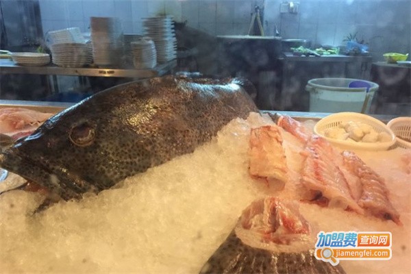 九哥石斑鱼火锅加盟费