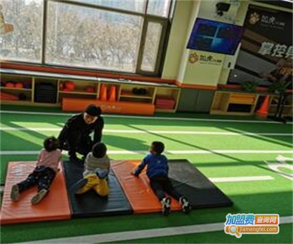 如虎少儿体能加盟费