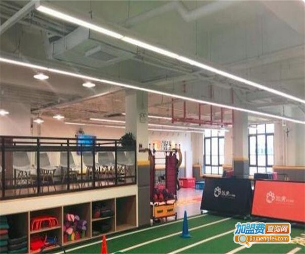 如虎少儿体能加盟费