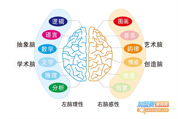 右脑潜能教育加盟