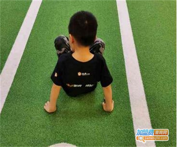 如虎少儿体能加盟费