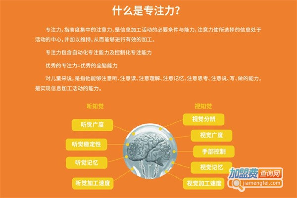 专注力教育加盟