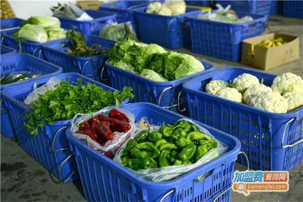 新鲜蔬菜同城配送加盟