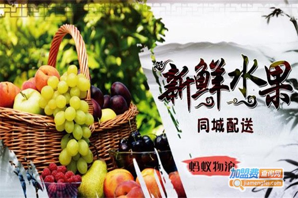 新鲜蔬菜同城配送加盟费总共多少钱？