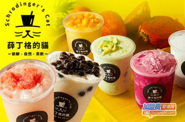 薛丁格的猫茶饮加盟费