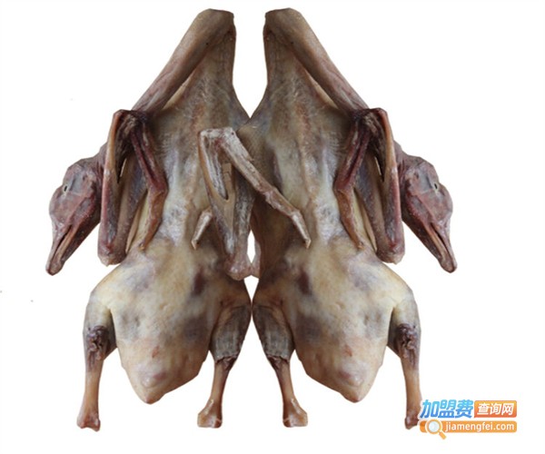 毛山卤鹅加盟费