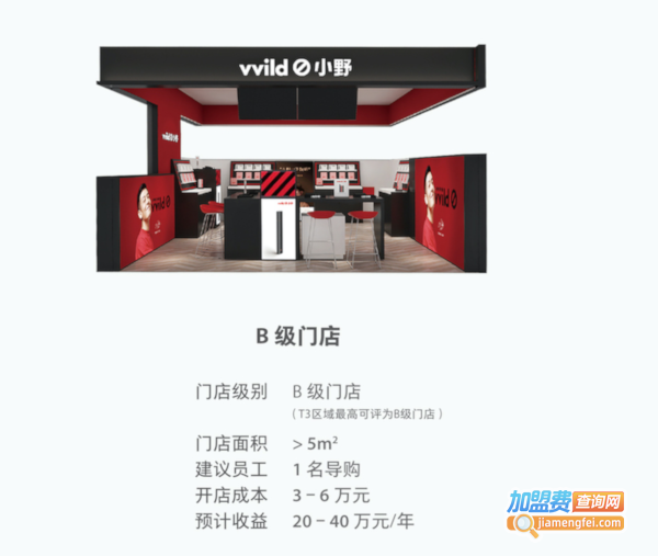 vvild小野加盟费