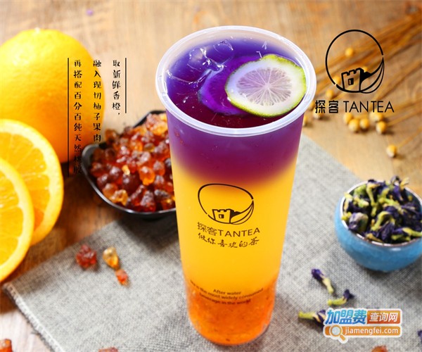 探客tantea