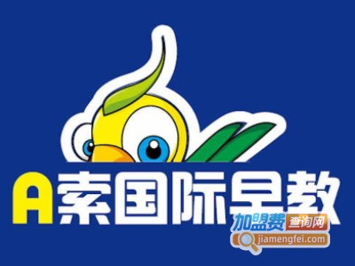a索早教加盟费