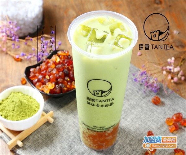 探客tantea