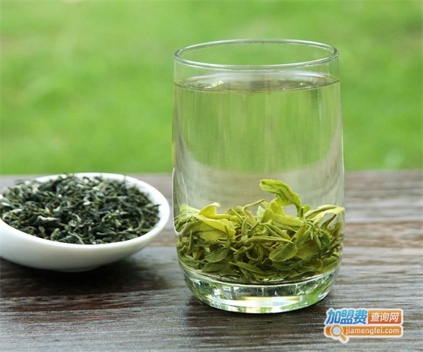 云雾茶