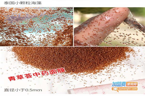 青草荟中药加盟