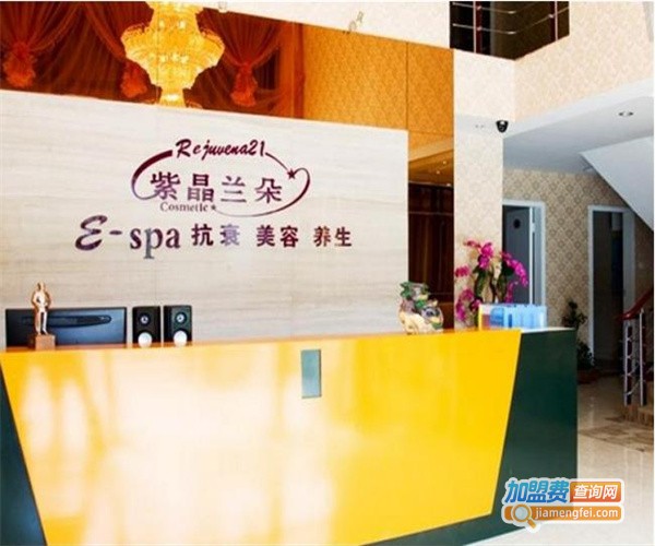 紫晶兰朵美容加盟费