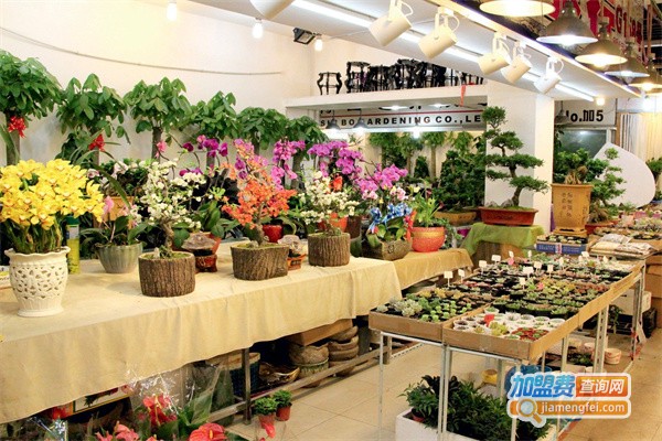 高端鲜花店加盟