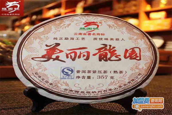 龙园茶