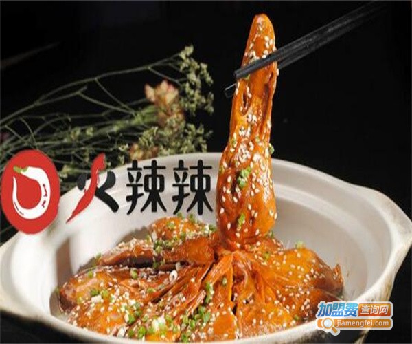 火辣辣餐厅加盟费