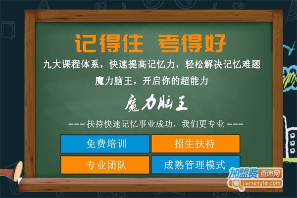 魔力脑王加盟