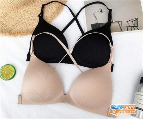 简奢一派内衣加盟费