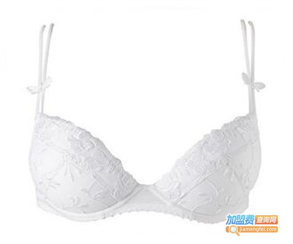 简奢一派内衣加盟费