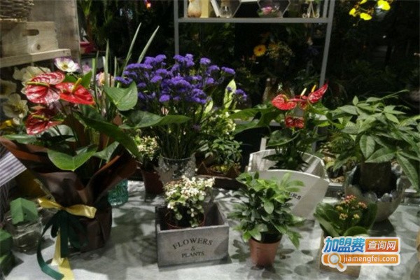 好日子花店加盟