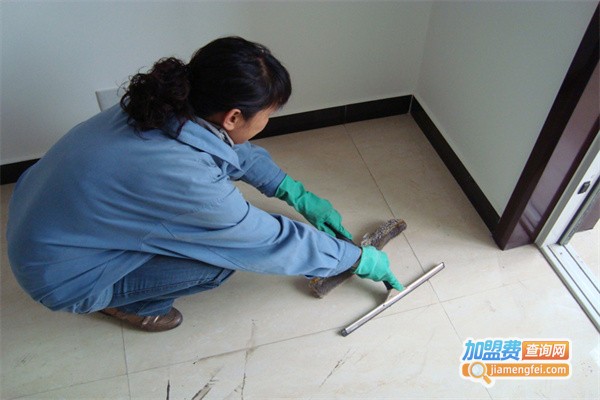 八爪鱼家政加盟费