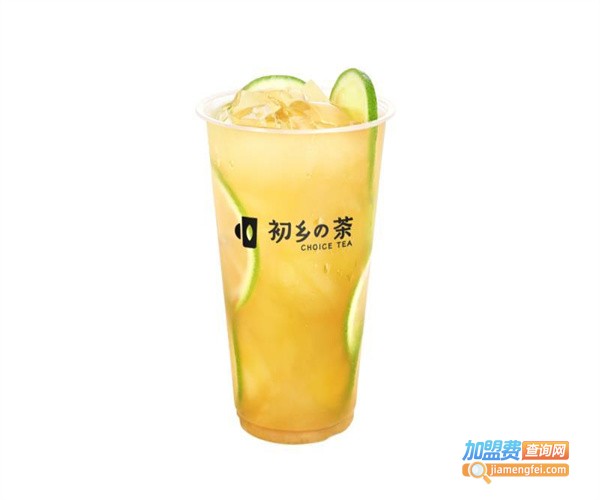 初乡茶饮料厂加盟费