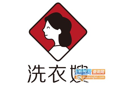 洗衣嫂干洗