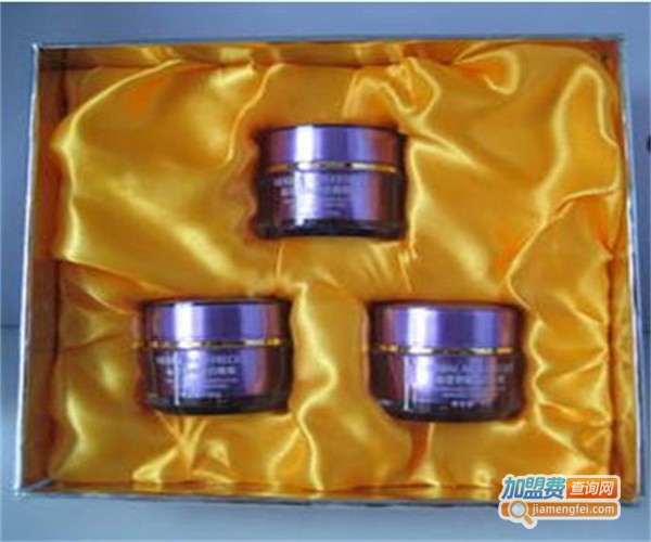 睿丽雅祛斑加盟费