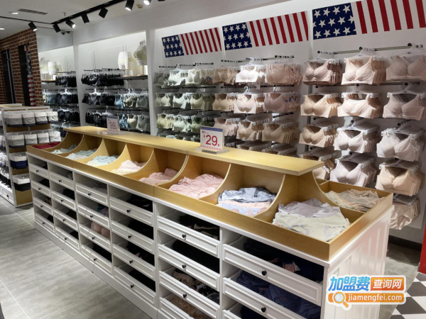 加盟广州BD内衣品牌，邀你开启财富新航线！