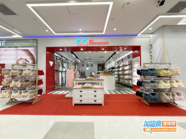 加盟广州BD内衣品牌，邀你开启财富新航线！