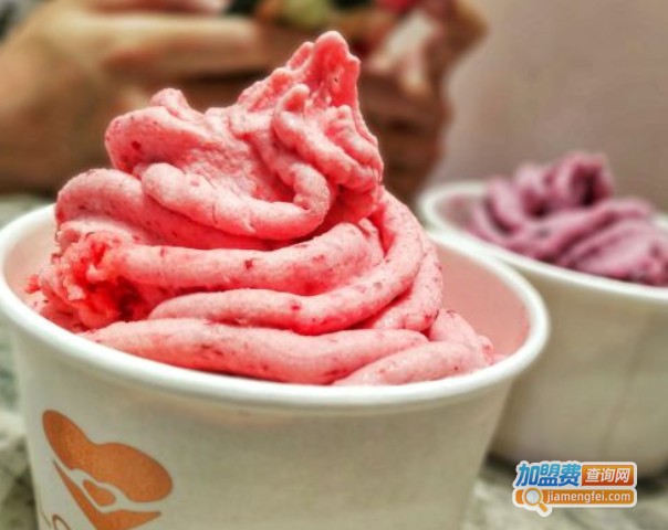 奢雪LoveYo加盟费