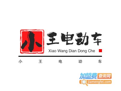 小王电动车加盟费