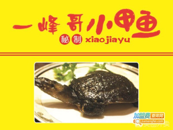 一峰哥小甲鱼加盟费