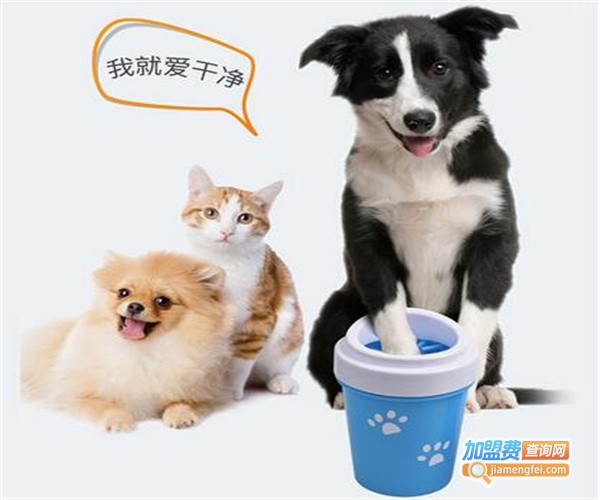 贝格宠物用品加盟费