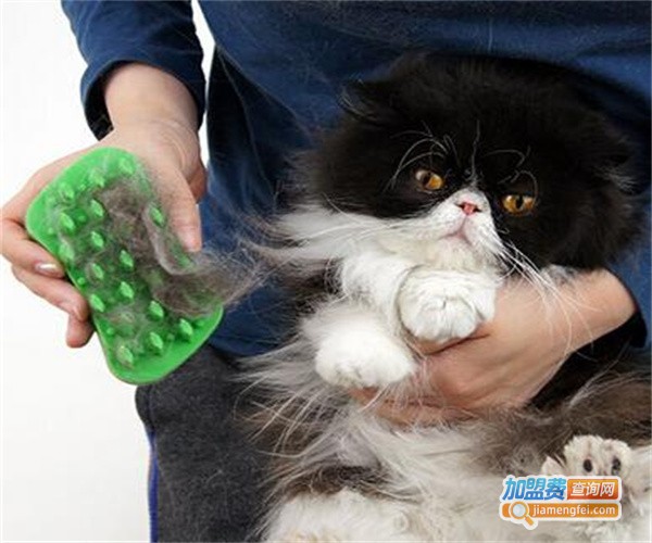 意牌宠物用品加盟费