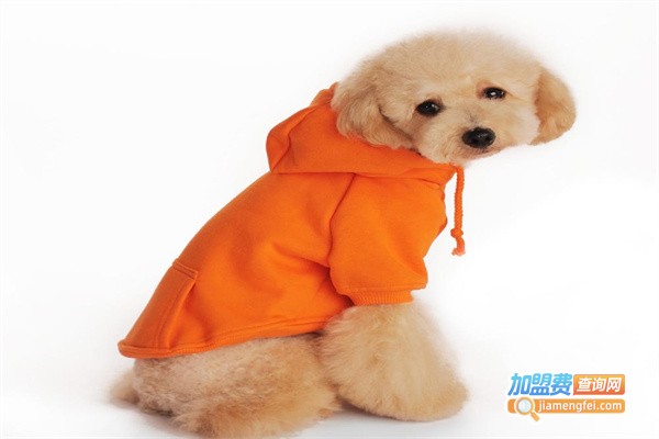 智达宠物用品加盟费