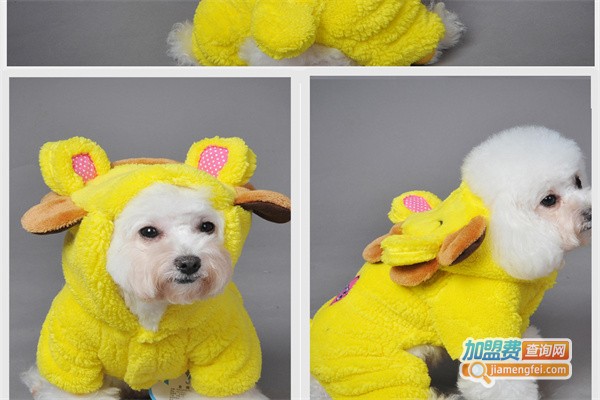 宠趣宠物用品加盟