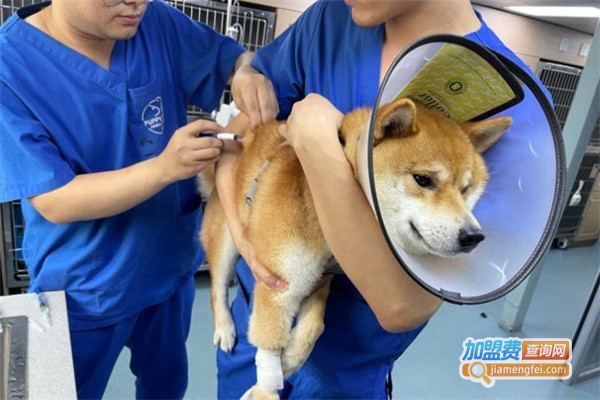 机灵鬼宠物医院加盟