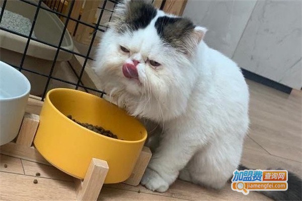 机灵鬼宠物医院加盟