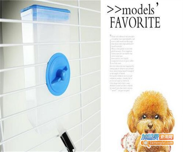 萨宾格宠物用品加盟费