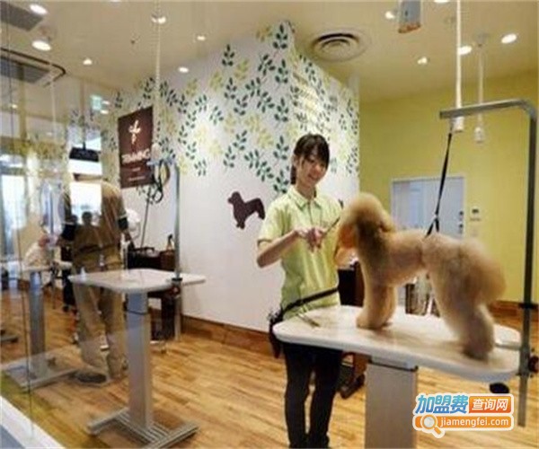 诗瑞宠物店加盟费