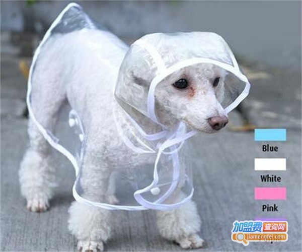 贝格宠物用品加盟费